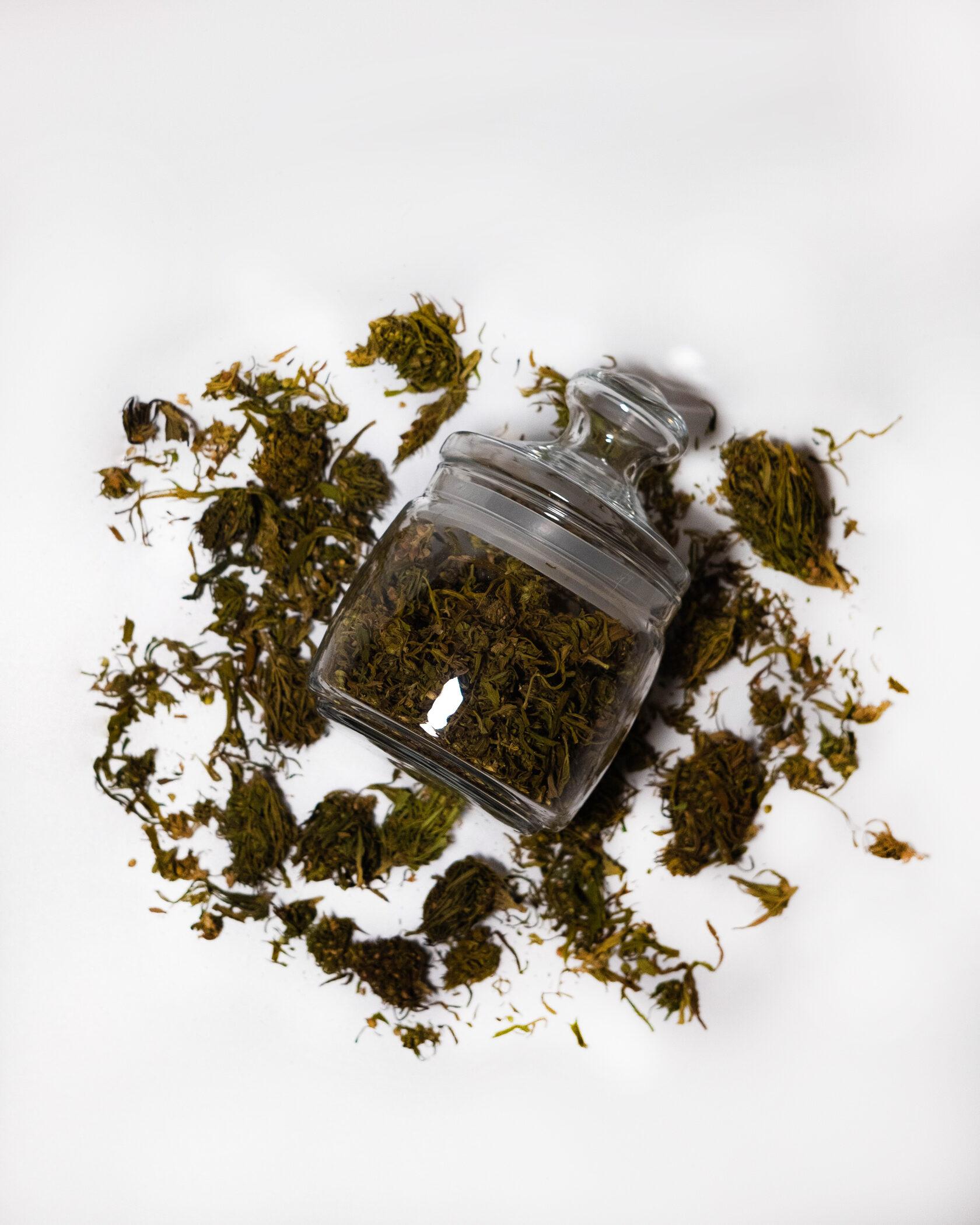Конопляный чай, CBD чай, Отборные Шишки банка 30г